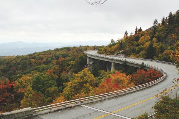 linn-cove-viaduct-fall-foliage